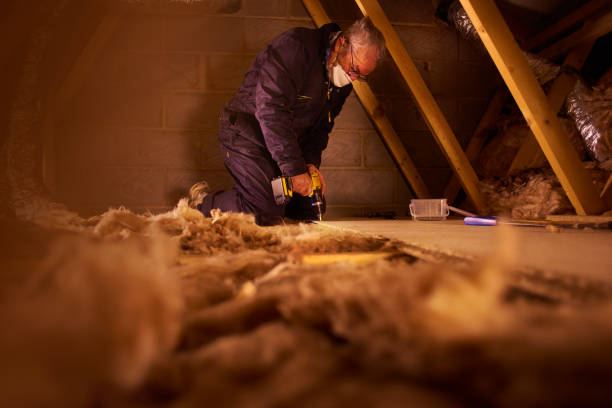 Best Blown-In Insulation  in Sardis City, AL